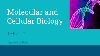 Exploring Molecular and Cellular Biology: Lecture Insights
