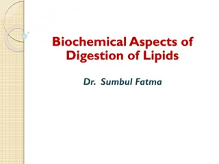 Biochemical Aspects of Lipid Digestion