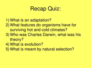 Evolution and Fossils: A Comprehensive Overview