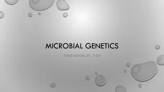 Microbial Genetics: Transformation and Discovery of DNA Role