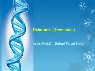 Overview of Helminths (Trematoda) - Parasitic Worms
