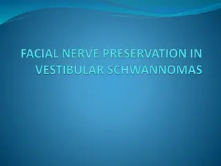 Facial Nerve Anatomy and Function