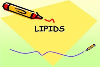 Overview of Lipids: Classification, Types, and Test