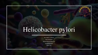 Helicobacter Pylori: Characteristics, Epidemiology, and Pathogenesis