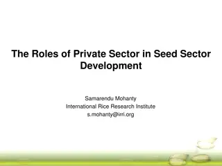 Private Sector's Role in Seed Sector Development and Rice Transformation