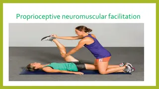 Achieve Better Mobility with Proprioceptive Neuromuscular Facilitation