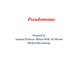 Pseudomonas aeruginosa: Characteristics, Identification, and Lab Diagnosis