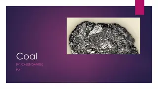 Coal and Its History: Overview, How it Works, Uses, and Impacts
