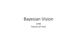 Bayesian Vision and Visual Perception Revolution