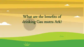 Incredible Benefits of Gau Mutra Ark for Health