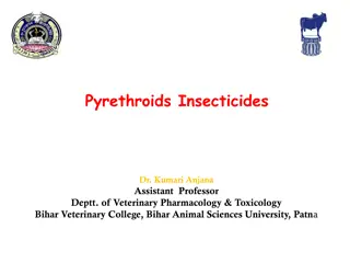 Pyrethroids Insecticides: Mechanism of Action, Clinical Signs, Diagnosis, and Treatment