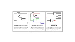 Bayesian Divergence Time Estimation with Markov Chain Monte Carlo
