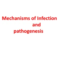 Mechanisms of Infection and Pathogenesis