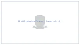 Organizational Structure at Adamas University
