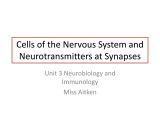 Neurotransmitters and Neuronal Communication