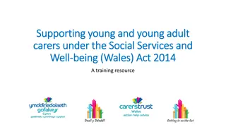 Supporting Young and Young Adult Carers in Wales: Understanding the Social Services and Well-being Act 2014