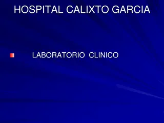 Laboratory Studies in Anemia Diagnosis: Exploring Clinical Findings