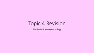 Understand Brain Lateralisation and Hemisphere Functions
