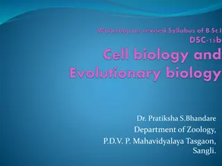 Cell Structure and Nucleus Organization