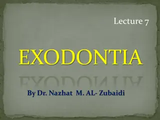 Expert Insights on Exodontia Procedures in Dentistry