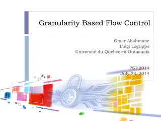 Granularity Based Flow Control and Security Challenges in Information Flow