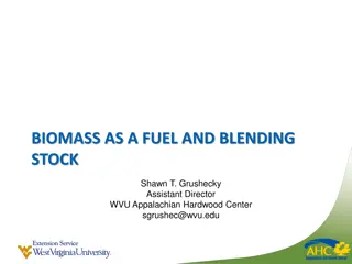 Wood Biomass in West Virginia: Energy Portfolio Benefits and Research Initiatives