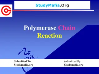 Polymerase Chain Reaction (PCR) in Molecular Biology