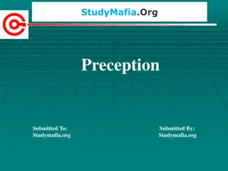 Perception: Organization, Identification, Interpretation