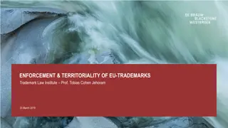 Enforcement and Territoriality of EU Trademarks: Insights by Prof. Tobias Cohen Jehoram