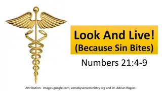 Moses and the Brazen Serpent in Numbers 21:4-9