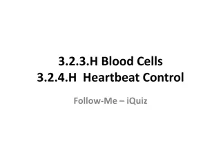 Red Blood Cells vs Typical Body Cells: Understanding the Key Differences