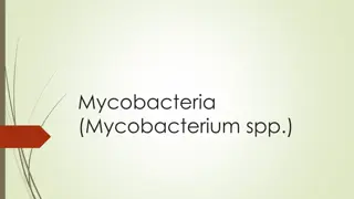 Characteristics and Laboratory Diagnosis of Mycobacteria