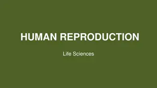 Exploring Human Reproduction: Key Points and Systems in Life Sciences