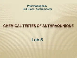 Lab.5