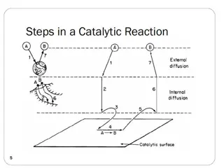 Heterogeneous Catalytic Reaction Steps and LHHW Model Overview