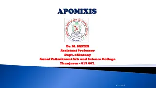 Apomixis in Plants: A Detailed Overview