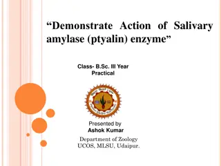 Demonstration of Salivary Amylase Enzyme Action in B.Sc. III Year Practical