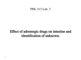 Adrenergic Drugs and Catecholamines in Physiology