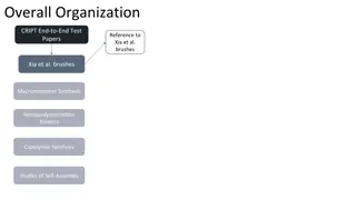 Polymerization Studies: Macromonomer Synthesis and Homopolymerization Kinetics
