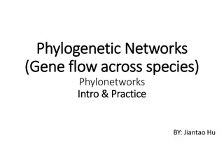 Phylogenetic Networks and Gene Flow Across Species
