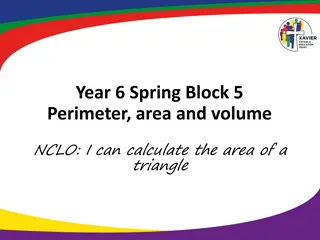 Calculating Triangle and Parallelogram Areas in Year 6 Math Block