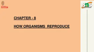 Organisms Reproduction Process