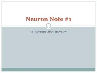 Language Development in Children: AP Psychology Review