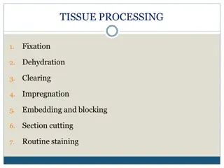 Tissue Processing Techniques and Pituitary Disorders in Endocrinology