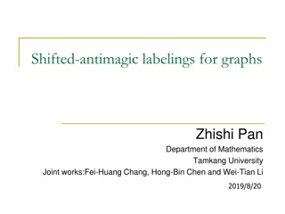 Shifted-Antimagic Labelings for Graphs: Exploration and Conjectures