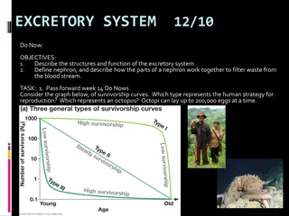 Excretory System and Waste Removal in Living Organisms
