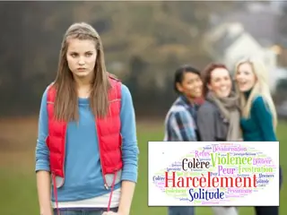 Components of School Bullying and Its Impact