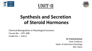 Steroid Hormone Synthesis and Secretion in Mammals