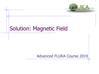 Advanced Magnetic Field Analysis for FLUKA Course 2019