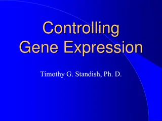 Gene Expression Control Mechanisms